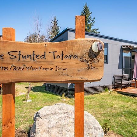 Stunted Totara, Unit 4 Villa Twizel Dış mekan fotoğraf
